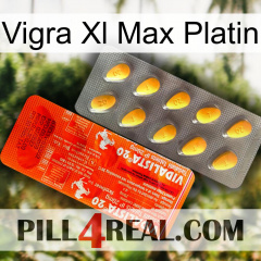 Vigra Xl Max Platinum new01